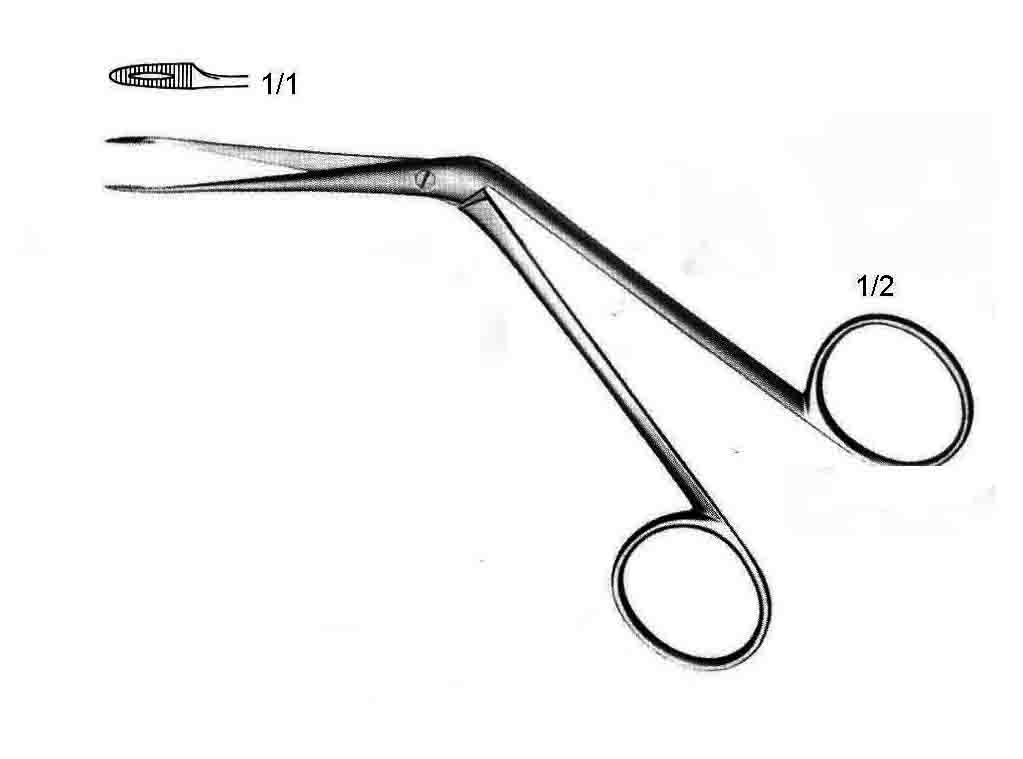 HARTMANN BURUN FORSEPS  65MM